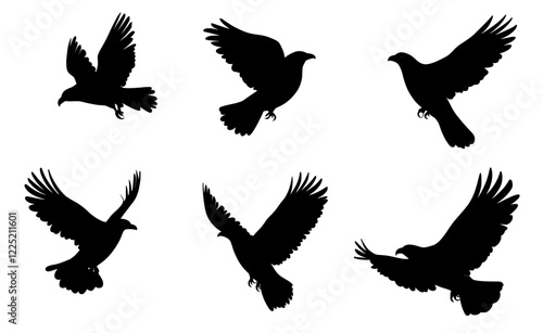 raven and a crow flying silhouette with a transparent background in modern illustration