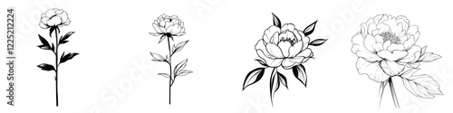 A modern, black and white illustration in tattoo style showcasing a beautiful peony flower on a white background