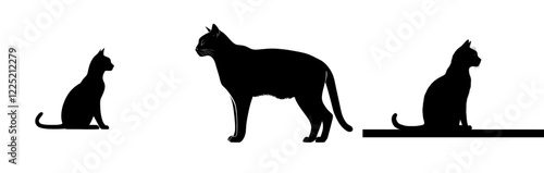 A sleek cat silhouette in modern flat design laid on a white background photo