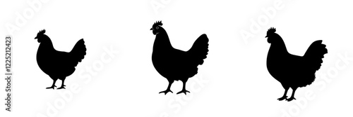 Chicken hen silhouette isolated on a white background, flat modern farm animal illustration