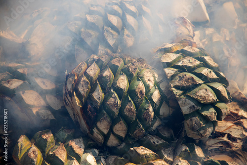 Traditional form of cooking maguey agave for the production of mezcal in the central valley of Oaxaca.