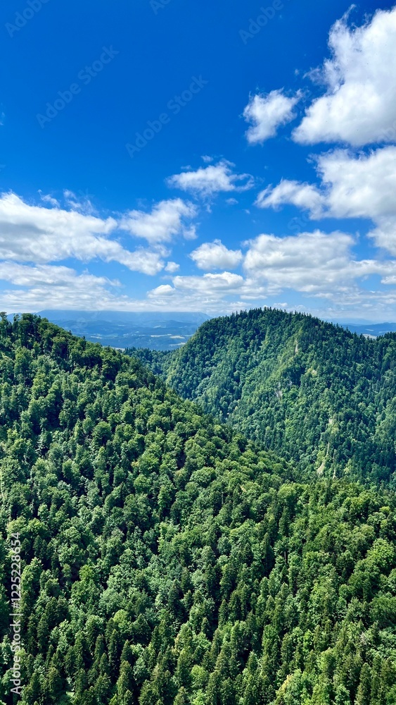 Obraz premium Vertical photo of mountain views on the trail from Mount Sokolica to Mount Trzy Korony in Pieniny National Park, Poland. Perfect for hiking, active lifestyle, travel, and nature exploration themes.