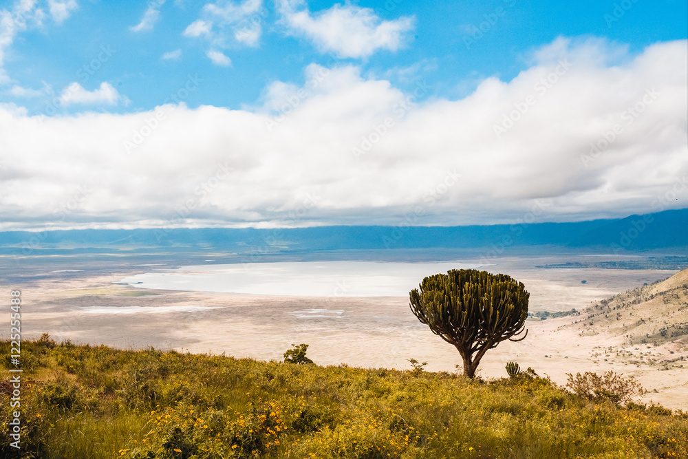 Obraz premium Landscape fo Ngorongoro Conservation Area