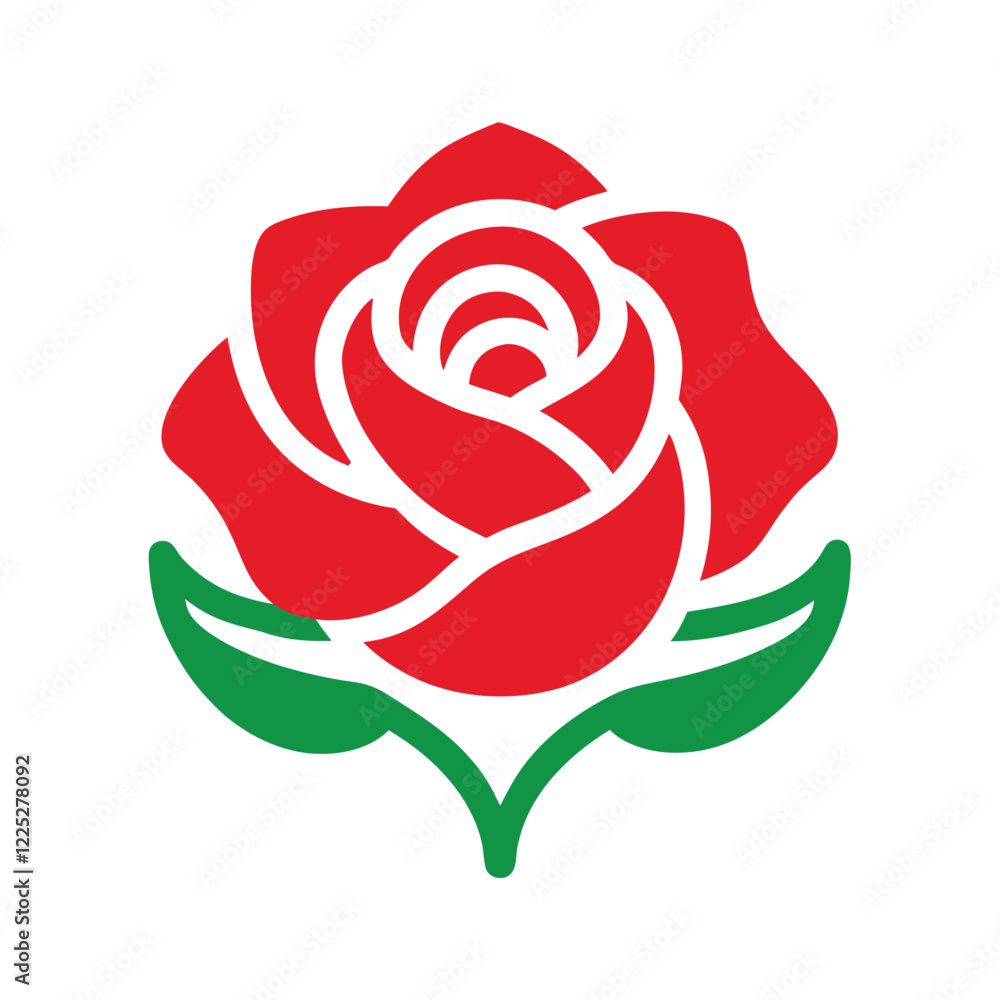 red rose flower red rose flower