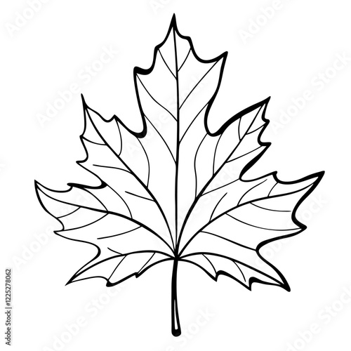 Maple leaf detail with petiole veins and midribs vector illustration (1)