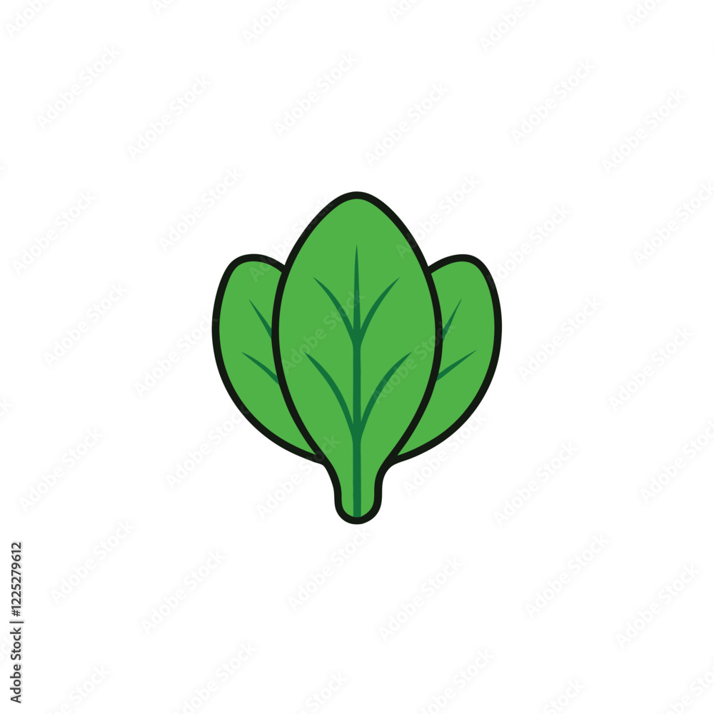 green leaf isolated on white background green leaf isolated on white background