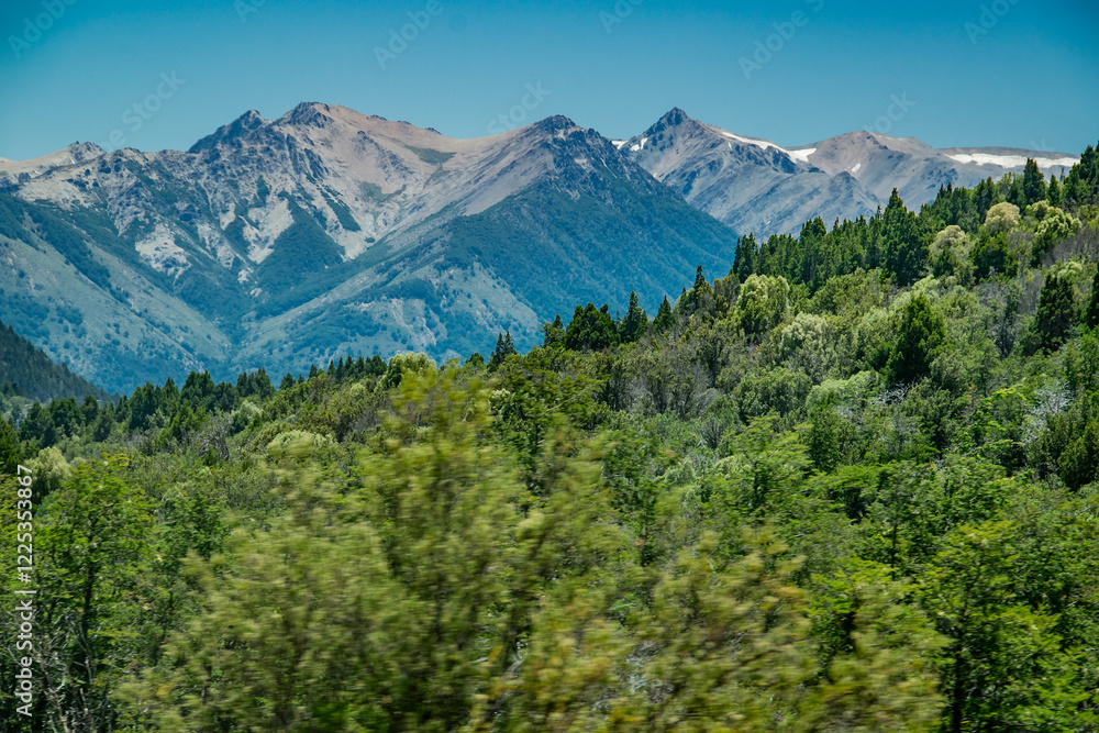 Obraz premium Forest and andes mountains landscape, nahuel haupi park, argentina
