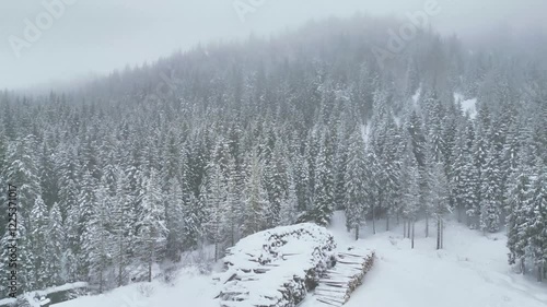 Wallpaper Mural Navigated view from above. Snow-covered forests in the Dolomites. While it snows Torontodigital.ca