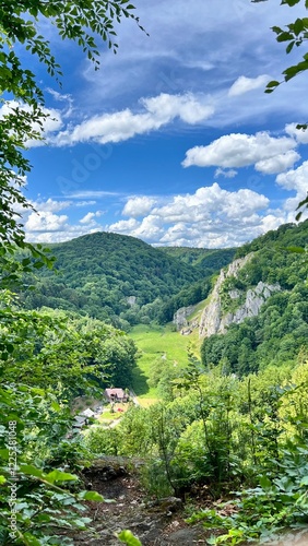 Vertical photo of rocks and trees in Ojcowski Park Narodowy, Krakow, Poland. Ideal for travel, hiking, nature exploration, or designs showcasing scenic landscapes and outdoor adventures.