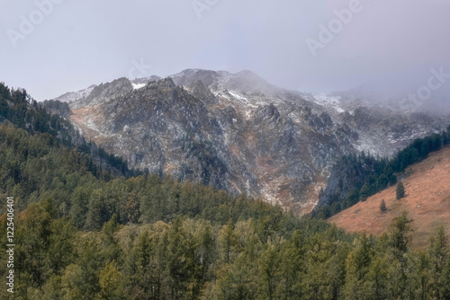 rocks and forest in the Altai mountains of Kazakhstan and yellow-green forest illuminated by the sun in early autumn. photo