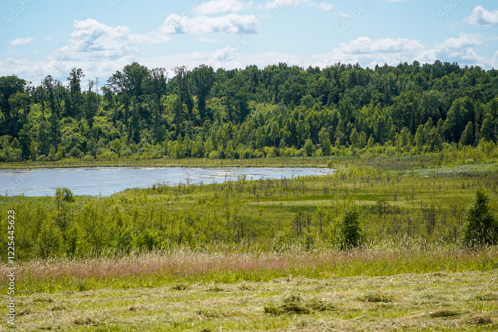 Green hill leading up to a lake that is surrounded by a swamp and a small hill with forest on the other side of the lake on a sunny summer day Green hill leading up to a lake that is surrounded by a swamp and a small hill with forest on the other side of the lake on a sunny summer day