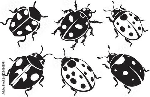 Variant style of ladybug silhouettes vector illustration, isolated on a white background.