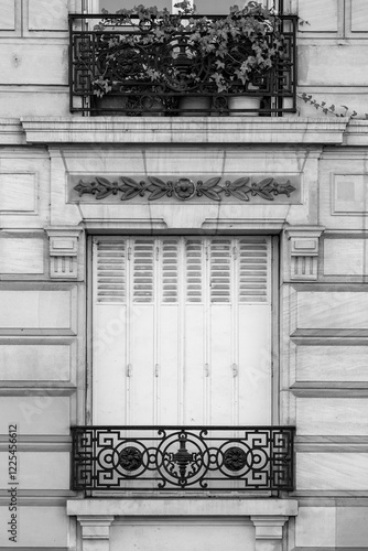 Detail from typical French ...