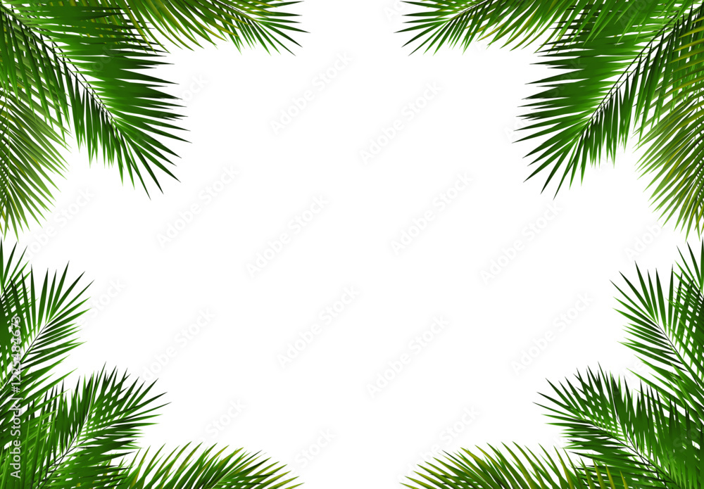 Green Palm Branch Isolated White Background Green Palm Branch Isolated White Background