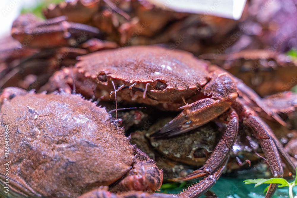 Fresh crabs displayed on a farmer's market stall, surrounded by rustic wooden crates and vibrant produce, emphasizing a healthy, natural lifestyle and sustainable eating habits Fresh crabs displayed on a farmer's market stall, surrounded by rustic wooden crates and vibrant produce, emphasizing a healthy, natural lifestyle and sustainable eating habits