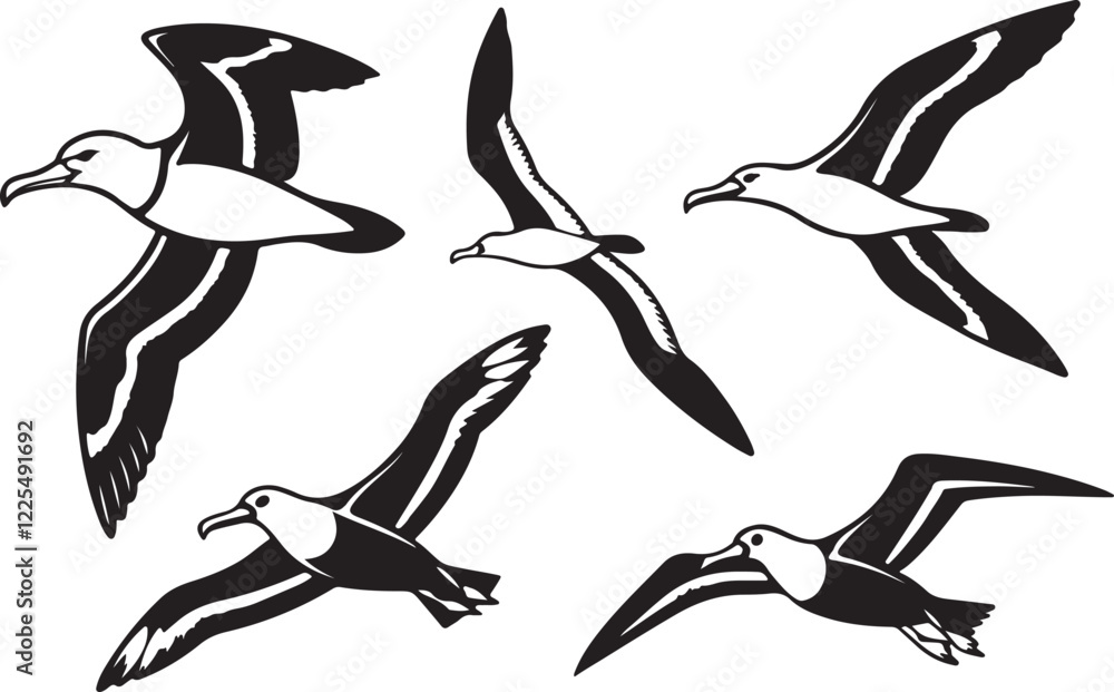 Variant style of albatross silhouettes vector illustration, isolated on white background.