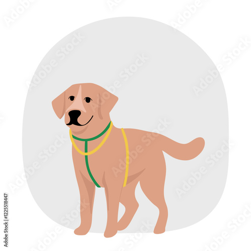 The dog guide helping for blind people walking outside