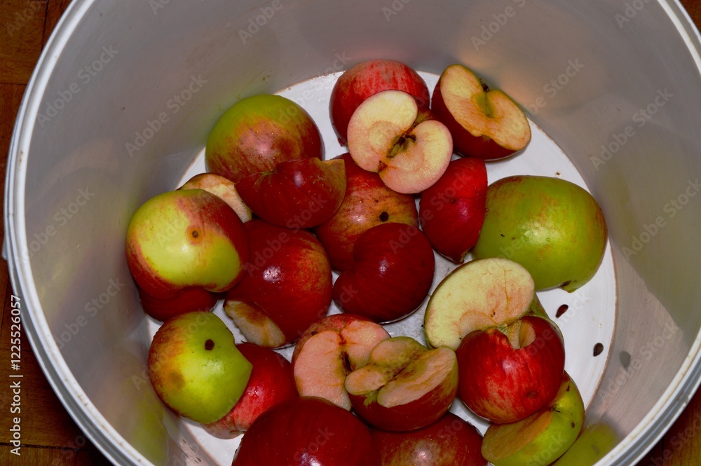 Apple halves in a plastic bucket. Apple halves in a plastic bucket.