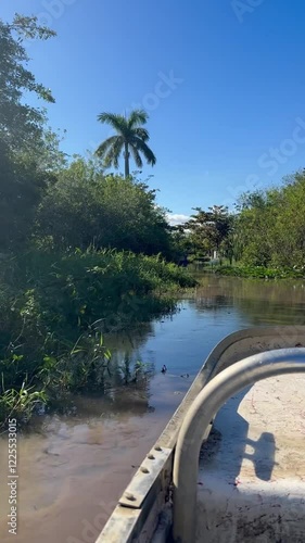 Hovercraft gliding over the Everglades in Miami, USA