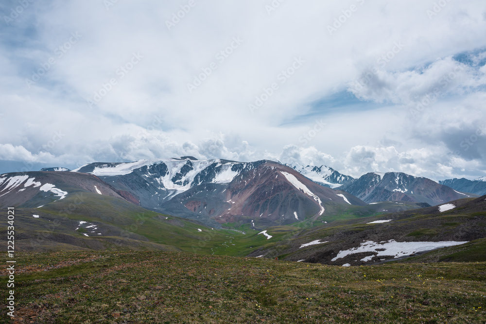Fototapeta premium Dramatic view from flowering hill to green alpine valley among rock hills with snowfields and large snow-capped mountain range under cloudy gray sky. Stony grassy pass and beautiful snowy mountains.
