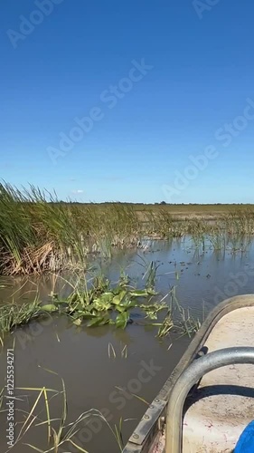 Hovercraft gliding over the Everglades in Miami, USA