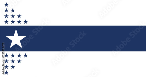 Illinois Centennial Flag Vector Illustration Premium Quality