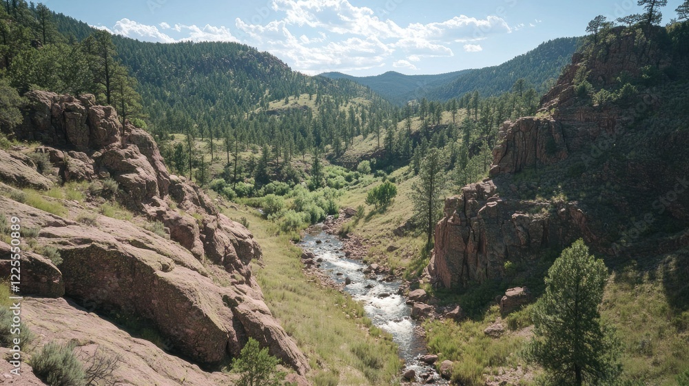 Fototapeta premium Rocky Mountain River Valley Scenic Landscape