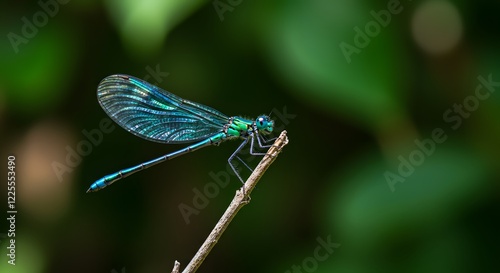 Stunning Emerald Damselfly on Twig Green Nature Background
