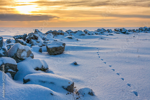 Pathway to Dawn
Lake Erie Metro Park
Michigan