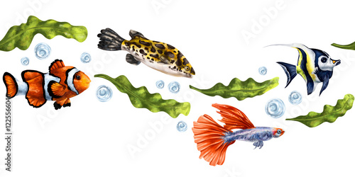 Photography Tropical fish with green algae, angelfish, clownfish