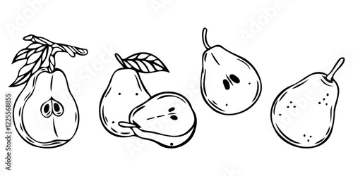Set of pears in hand-drawn sketch style. Fruit illustration in vector. Outline with transparent background.