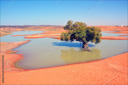 Unique landscape of Sahara desert after rains in Marocco.