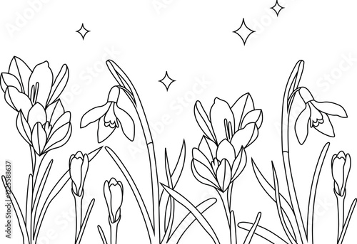 Floral vector graphic border with hand-drawn flowers and sparkle. Snowdrops blooming