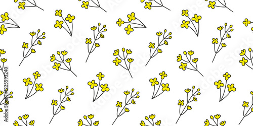 Seamless pattern with doodle yellow rapeseed canola flowers on white background.