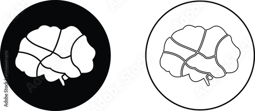 Human internal organ anatomy brain con Set. Brain mental healthcare sign collection flat and line vector isolated on transparent background. Science symbol skin layer intestine linear Pictogram.