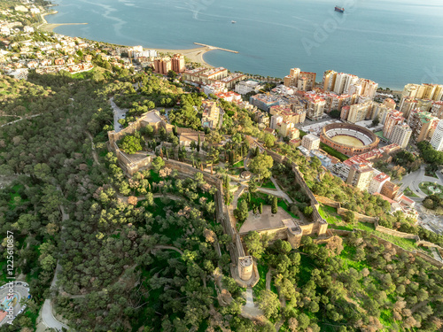 Aerial view of Malaga Alcazaba and Gibralfaro castle, crenellated wall, parapet and towers on a hilltop photo