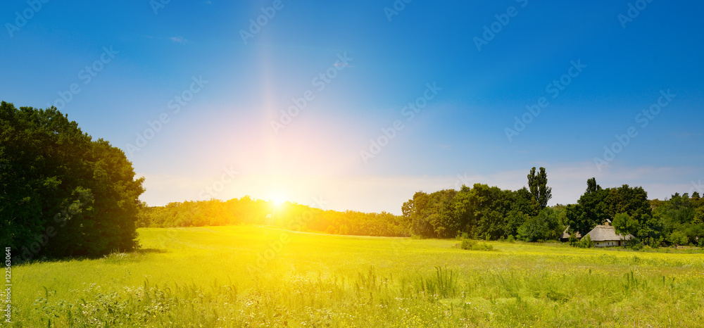 Fototapeta premium Beautiful bright sunrise over large summer pasture with grasses.