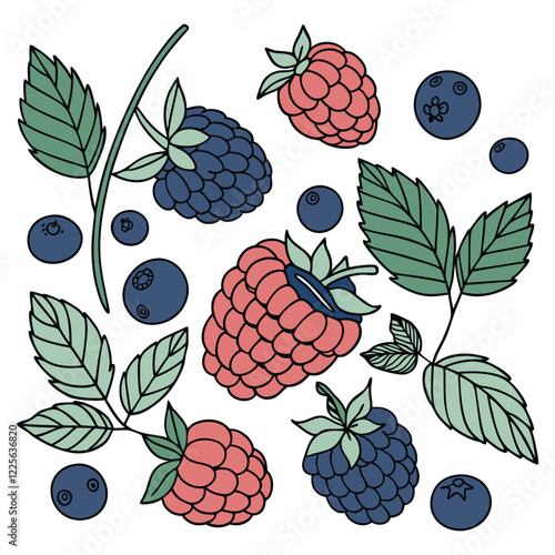 a flat vector pattern featuring a medley of berries such as blueberries, raspberries, and blackberries with scattered mint leaves on a white background