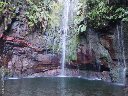 Astonishing waterfalls of 25 Fontes on Madeira island. These twentyfive waterfalls cascade into a clear turquoise lagoon, framed by tropical ferns.  photo