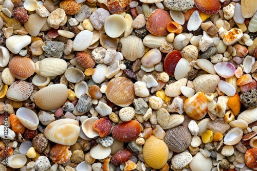 Colorful Seashells and Pebbles Beach Texture photo