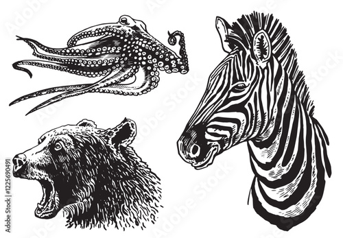 Graphical set of animals , octopus, bear and  zebra portrait  on white background,vector illustration