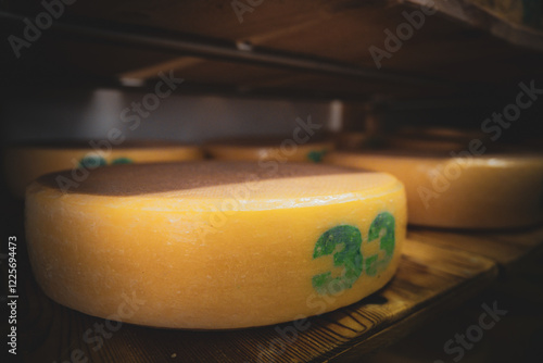Lagerung eines Laib Käse in Reifekeller