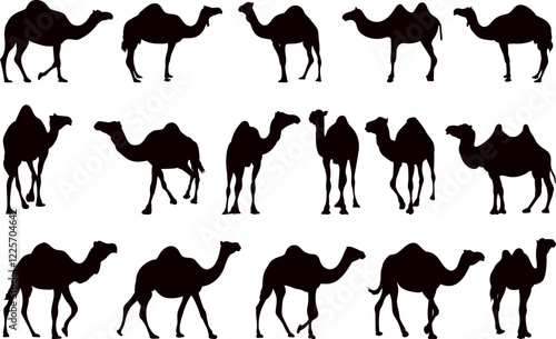 camels collection, set black silhouette vector