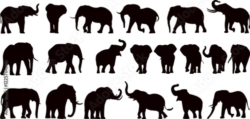 Photography elephant collection, set black silhouette vector