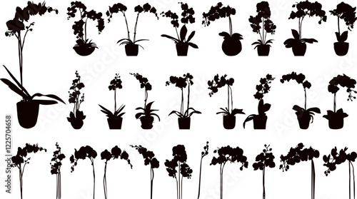 orchid flowers collection, set black silhouette vector