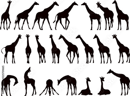giraffe collection, set black silhouette vector