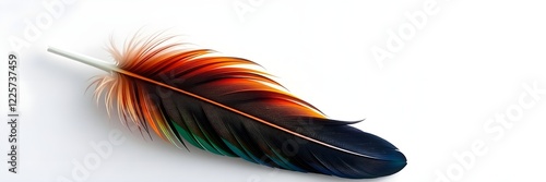 stock photo Nation Indigenous Peoples Day. A colorful feather on a minimalist background, graceful and elegant with refined features.  photo