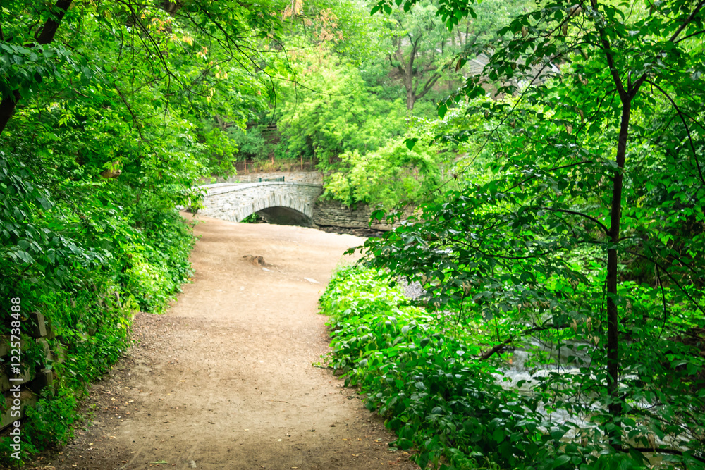 A path in a forest with a bridge over a stream A path in a forest with a bridge over a stream