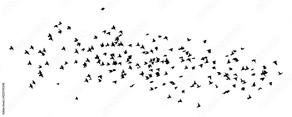Obraz premium Flying birds silhouette flock. hand drawing. Not AI. Vector illustration.