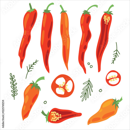 Juicy pepper. Paprika. Hot chili pepper. Seasoning. Useful Vegetables. Harvest. Botanical illustration. Vector illustration